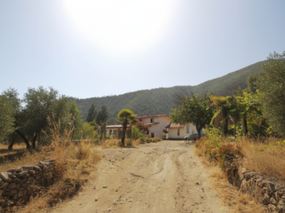 Terreno Con 2 Casas Olmué