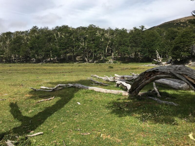 1.437,5 Hectáreas, Sectro La Tapera, Comuna Laguna Verde, Región de Aysén