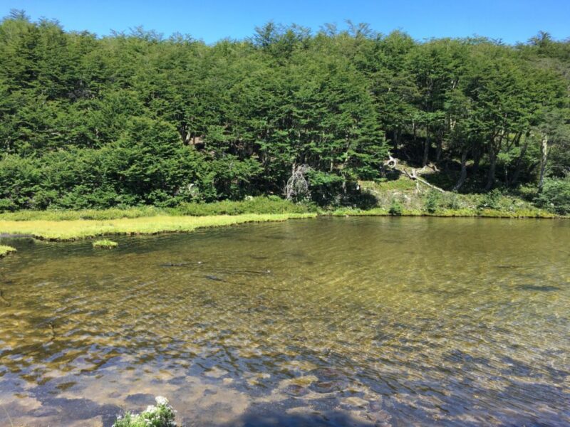1.437,5 Hectáreas, Sectro La Tapera, Comuna Laguna Verde, Región de Aysén
