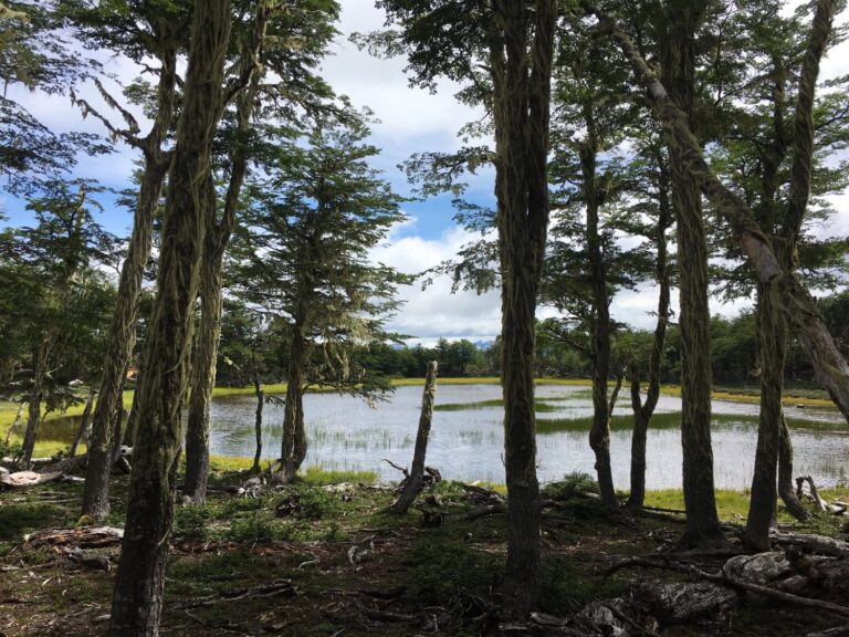 1.437,5 Hectáreas, Sectro La Tapera, Comuna Laguna Verde, Región de Aysén
