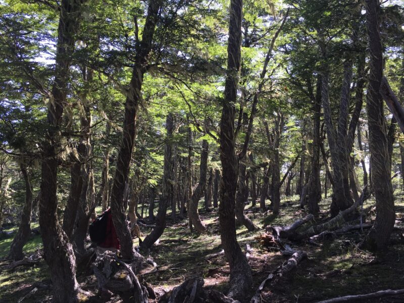 1.437,5 Hectáreas, Sectro La Tapera, Comuna Laguna Verde, Región de Aysén