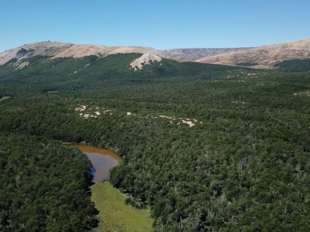 Predio de 3.879 Hectáreas en Bahía Erasmo