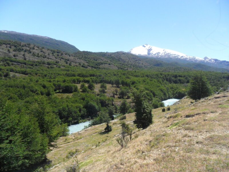 Predio de 3.133 Hectareás, en Lago O´higgins, Comuna de O´higgins, Region Aysén