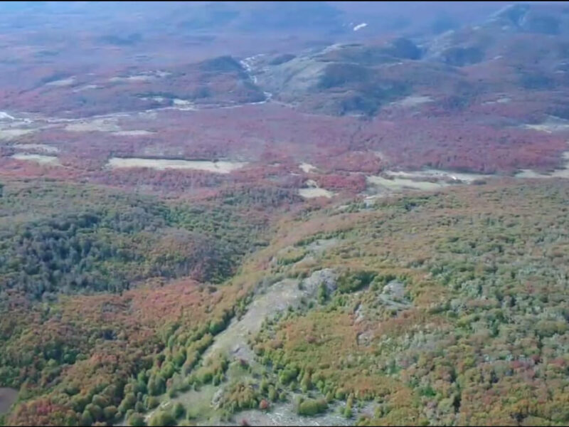 2.800 Hectáreas Lago Bravo, Comuna de Coyhaique