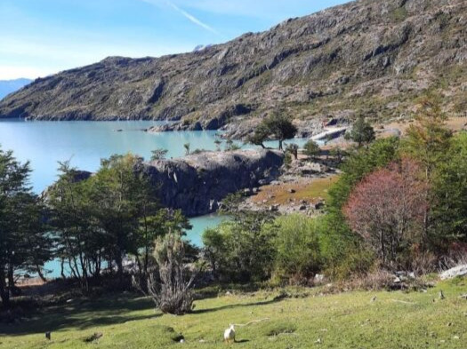 442 Hectáreas, Ubicado en Villa O´Higgins, con Orilla del Lago y Península.