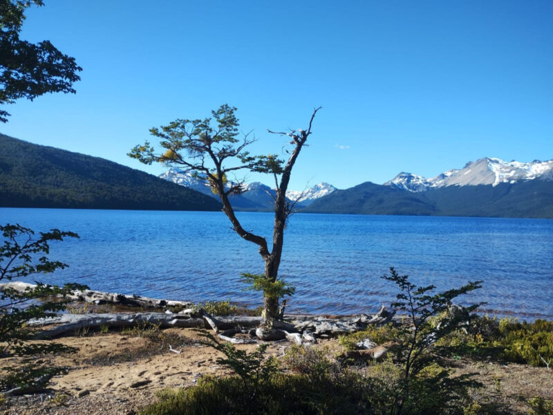 2.800 Hectáreas Lago Bravo, Comuna de Coyhaique
