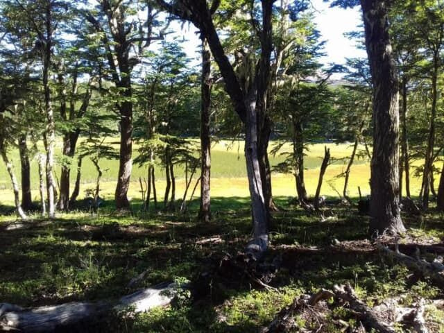 1.437,5 Hectáreas, Sectro La Tapera, Comuna Laguna Verde, Región de Aysén