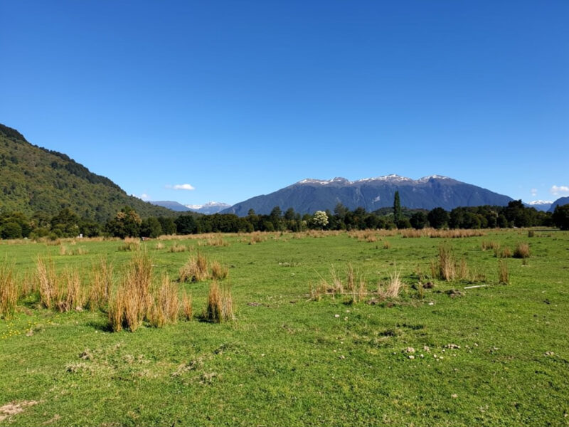 Predio de 391 Hectáreas en Laguna Los Palos, Comuna de Aysén
