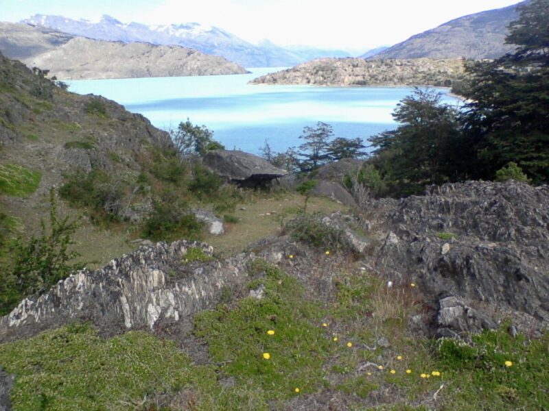 Predio de 3.133 Hectareás, en Lago O´higgins, Comuna de O´higgins, Region Aysén