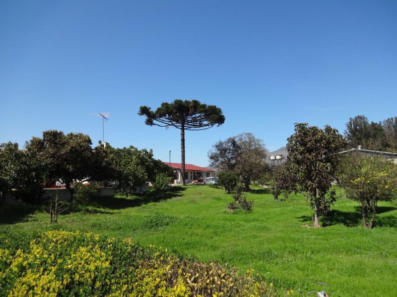 Parcela con casa y potencial uso comercial, Limache