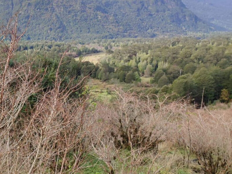 Predio 700 Hectareás en Río Blanco, Comuna de Aysén