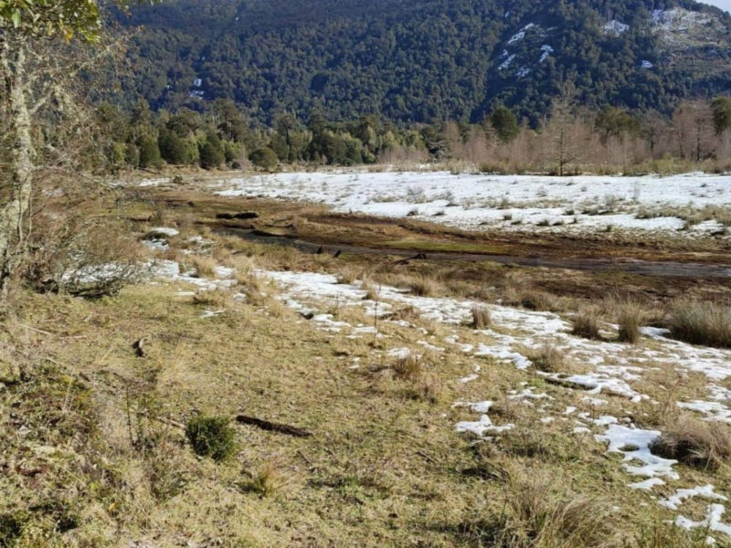 Predio 700 Hectareás en Río Blanco, Comuna de Aysén