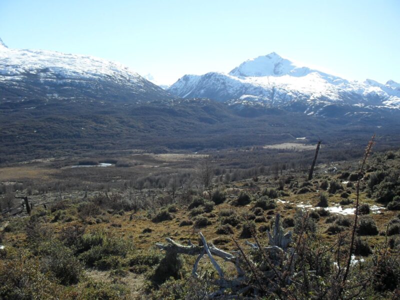 Predio de 3.133 Hectareás, en Lago O´higgins, Comuna de O´higgins, Region Aysén