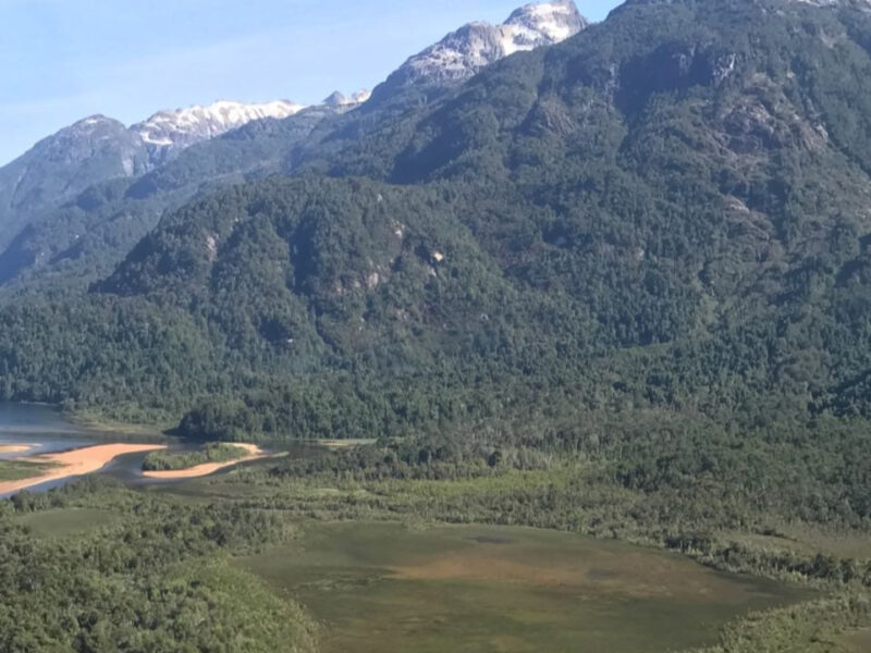 585 Hectáreas y 360 Hectáreas, Ubicado en Lago Copa, Comuna de Cisnes