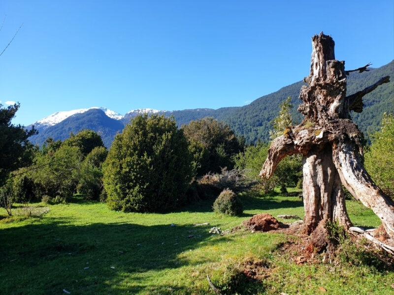 Predio de 391 Hectáreas en Laguna Los Palos, Comuna de Aysén