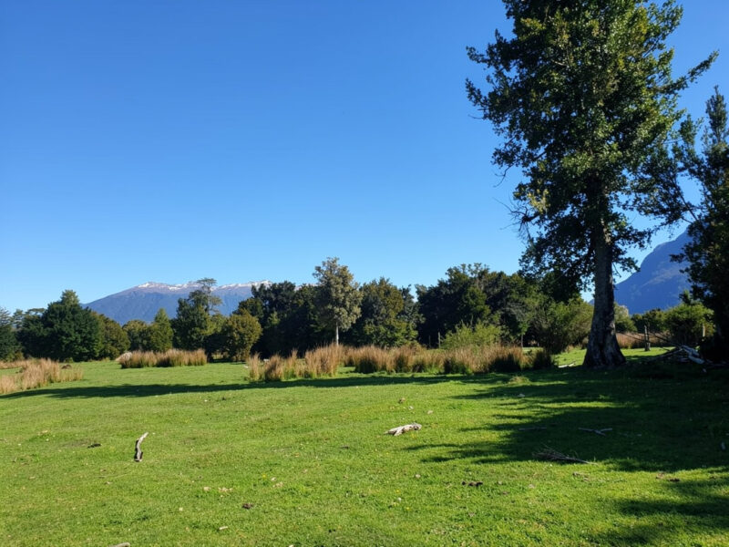 Predio de 391 Hectáreas en Laguna Los Palos, Comuna de Aysén