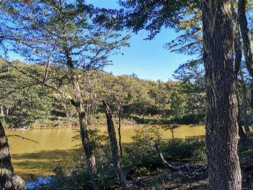 1.437,5 Hectáreas, Sectro La Tapera, Comuna Laguna Verde, Región de Aysén