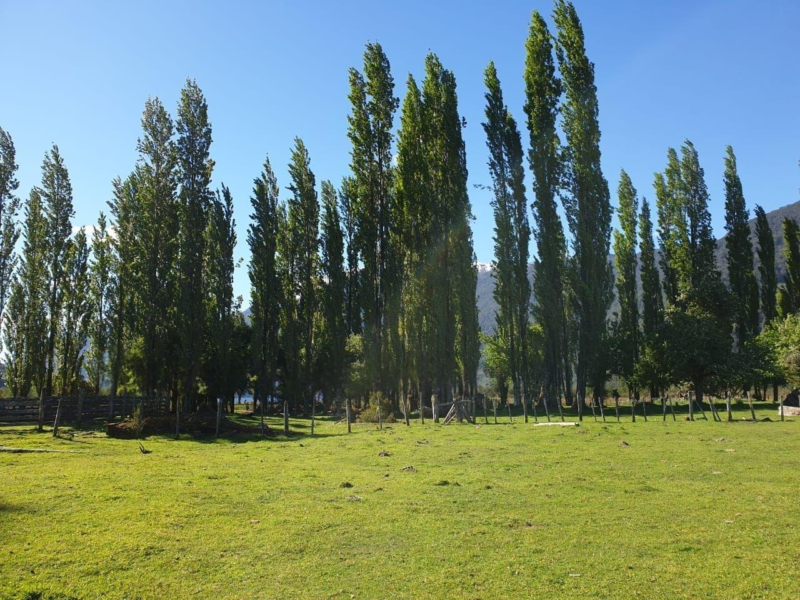 Predio de 391 Hectáreas en Laguna Los Palos, Comuna de Aysén