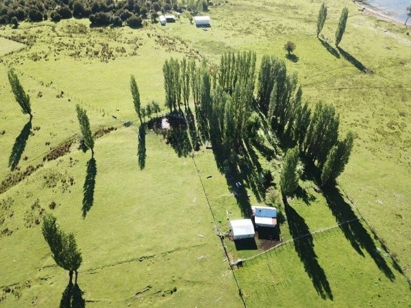 Predio de 391 Hectáreas en Laguna Los Palos, Comuna de Aysén