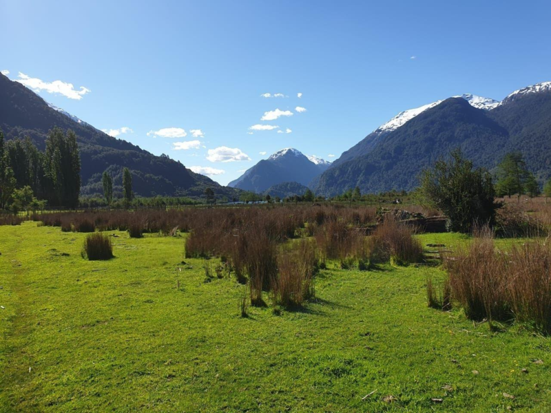 Predio de 391 Hectáreas en Laguna Los Palos, Comuna de Aysén