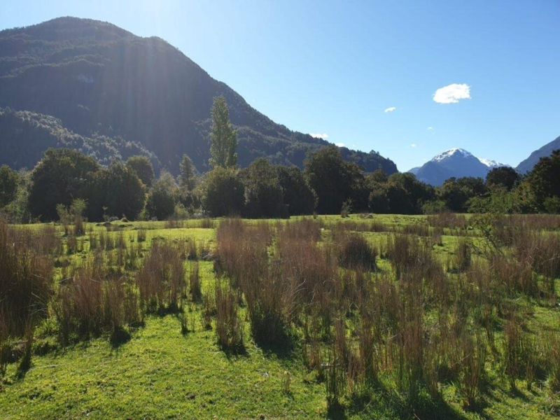 Predio de 391 Hectáreas en Laguna Los Palos, Comuna de Aysén