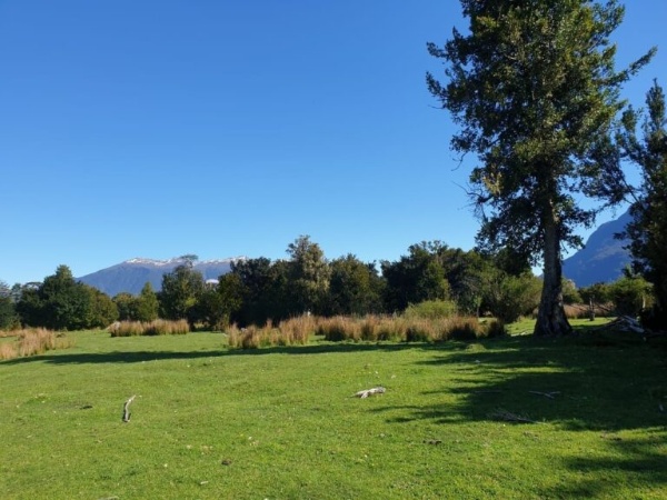 Predio de 391 Hectáreas en Laguna Los Palos, Comuna de Aysén