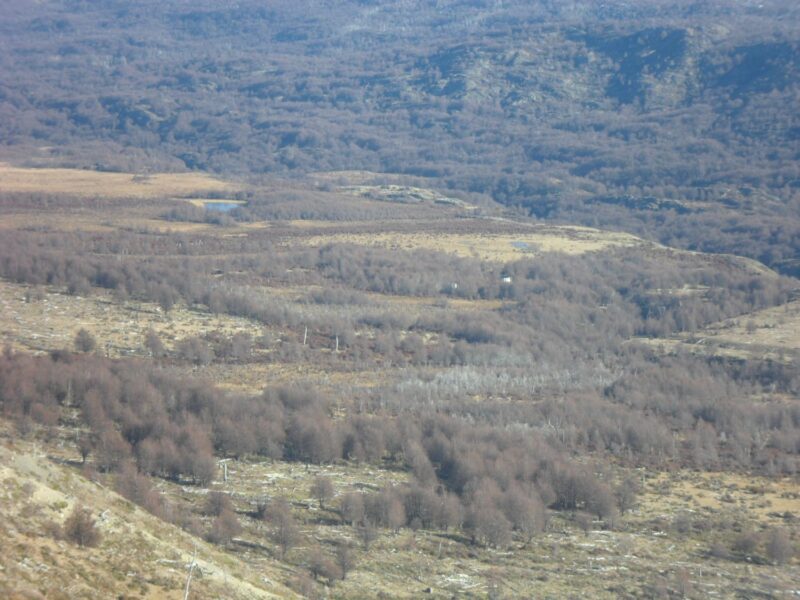 Predio de 3.133 Hectareás, en Lago O´higgins, Comuna de O´higgins, Region Aysén