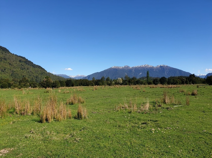 Predio de 391 Hectáreas en Laguna Los Palos, Comuna de Aysén
