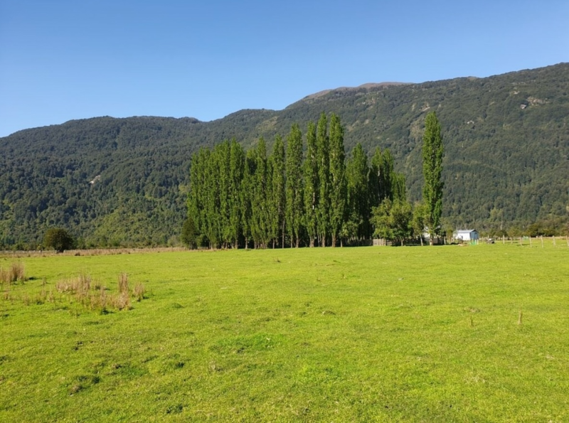 Predio de 391 Hectáreas en Laguna Los Palos, Comuna de Aysén