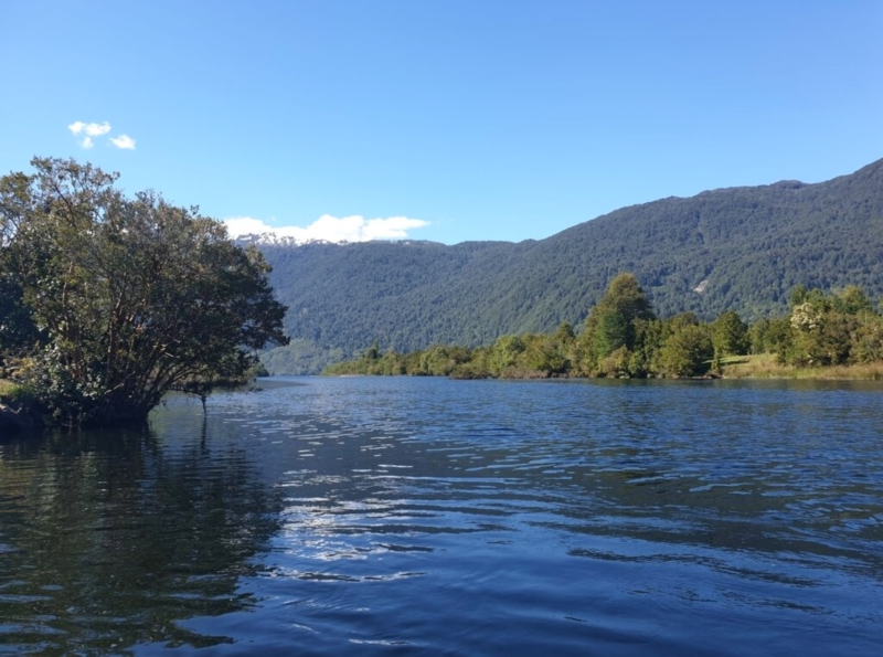 Predio de 391 Hectáreas en Laguna Los Palos, Comuna de Aysén